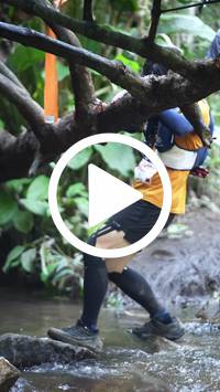 BIB:  <button type="button" onclick="openModal(27824624)" class="btn btn-primary btn-sm float-right" data-toggle="modal" data-target=".modal-high-quality">
                <i class="fa fa-download"></i> Download
                </button>